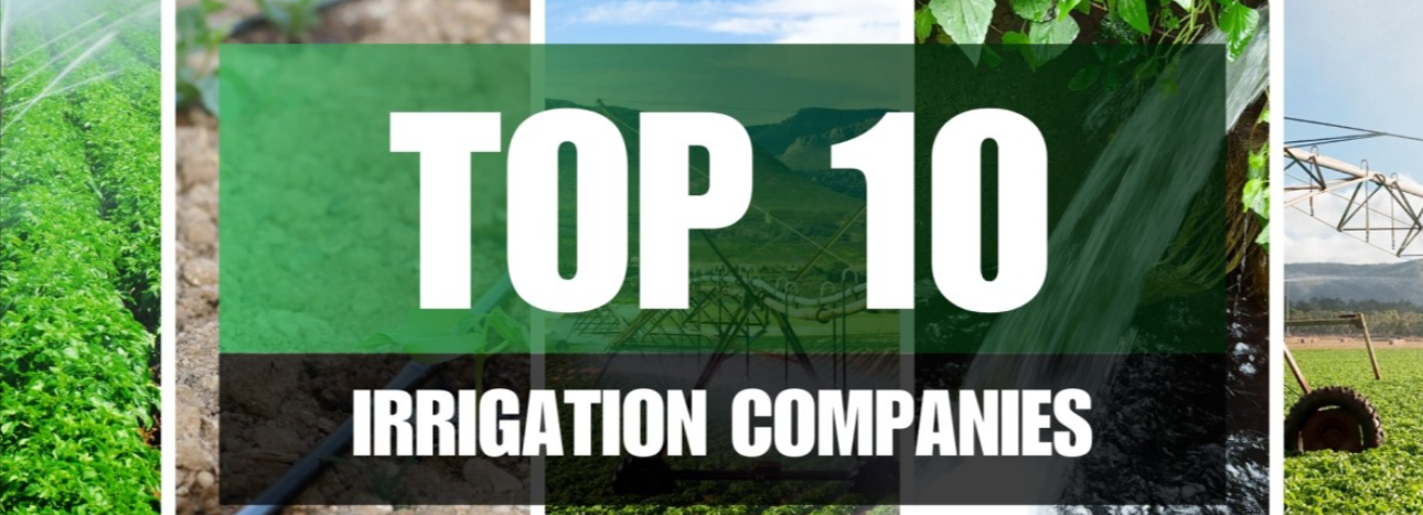 Top 10 Best Drip Irrigation Companies in India