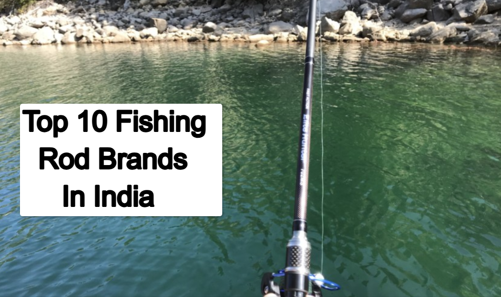 Top 10 Best Fishing Rod Brands in India